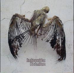 Infección Crónica : El Sotano